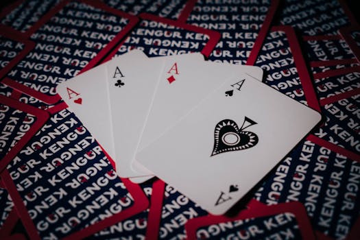 Casino-11641.jpeg